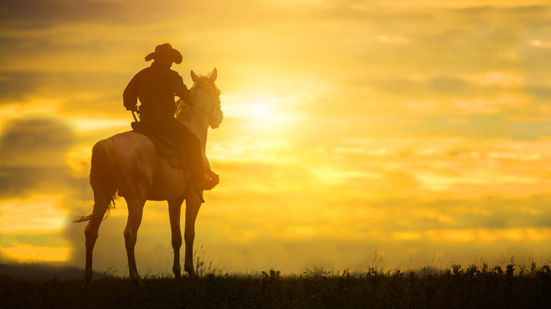Silhouette of cowboy on horse against the sunrise