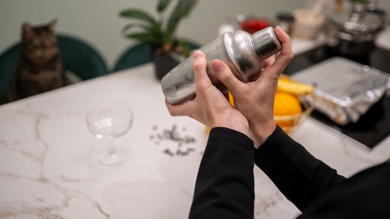 hands agitate a cocktail shaker