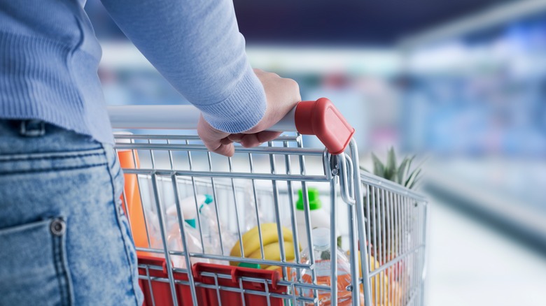 person pushing shopping cart