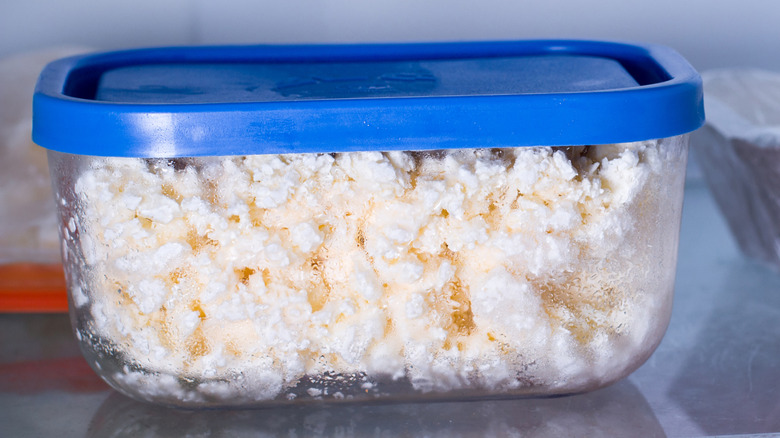 Cottage cheese thawing in container in fridge
