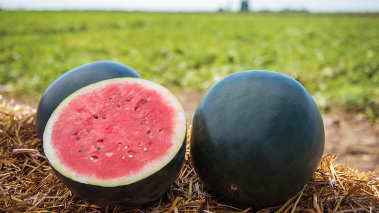Whole and cut black watermelon