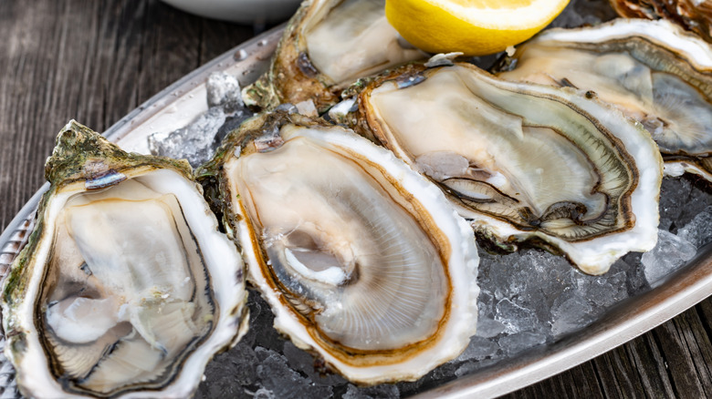 half-shell oysters on ice with lemon wedge