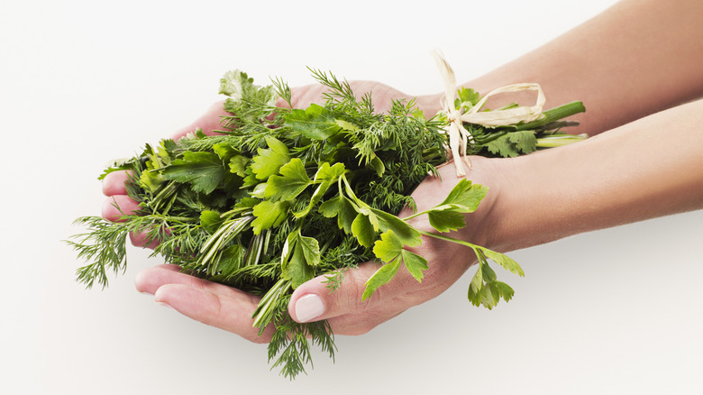 Herbs placed in hands