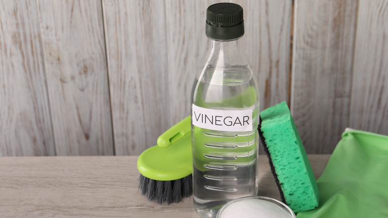 Vinegar in bottle, baking soda, glove, sponge and brush