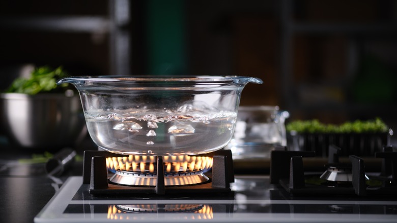 pot of water boiling on stove