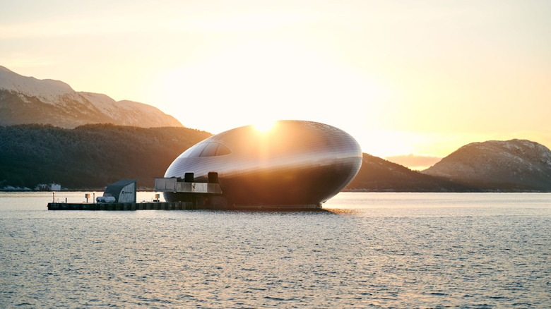 The Salmon Eye at sunset