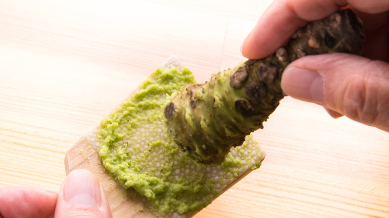 Fresh wasabi root being grated to create a paste