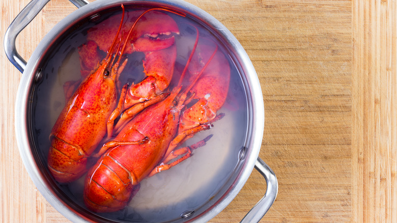 Two boiled lobsters in a pot.