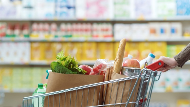 grocery cart with shopping bags
