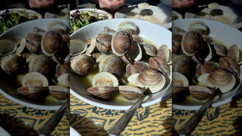 Bowl of steamed clams at Steamer's restaurant in Cedar Key, Florida.