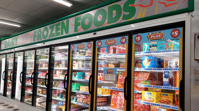 A shot of Dollar Tree's frozen food section