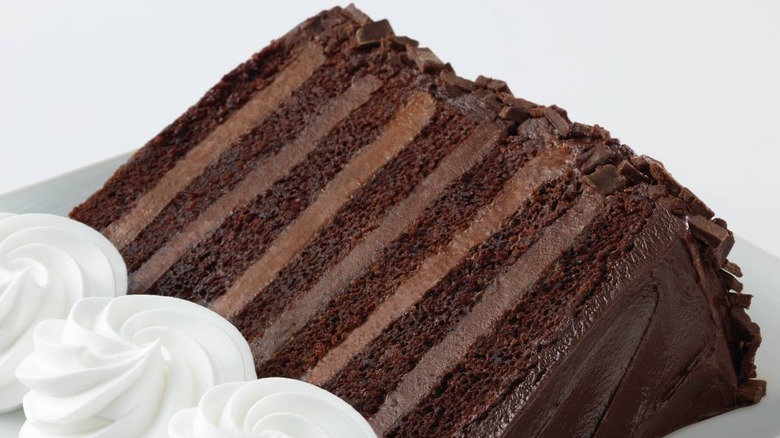 slice of chocolate truffle cake on plate with whipped cream