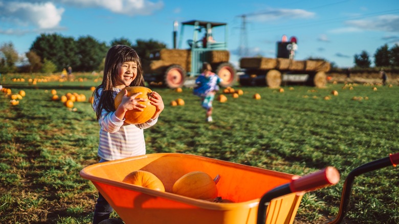 smiling child holds fresh-picked farm pumpkin