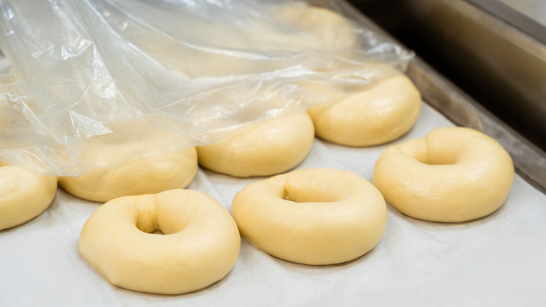 Removing plastic from tray of proofing, raw bagels.