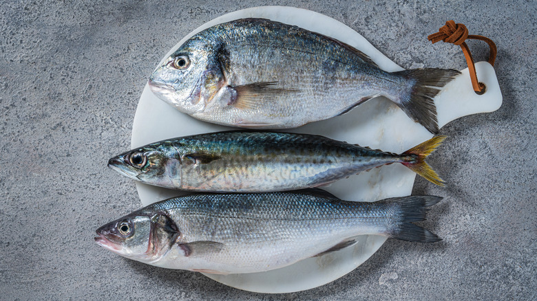 Fresh seabass, mackerel, and sea bream