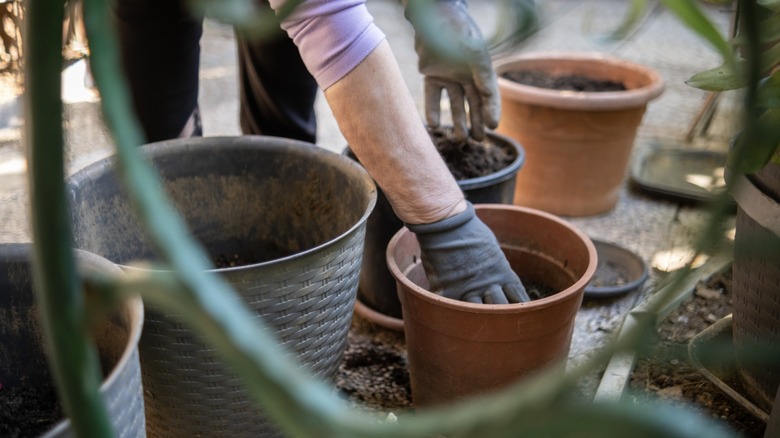 arms reach down for planters in garden
