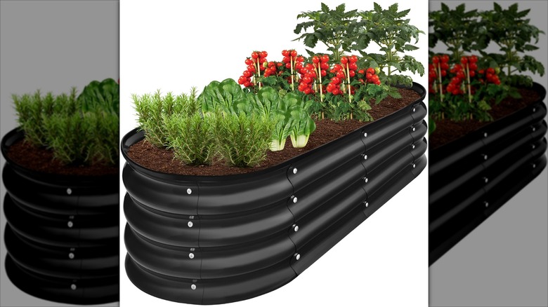 black raised planter box with veggie garden