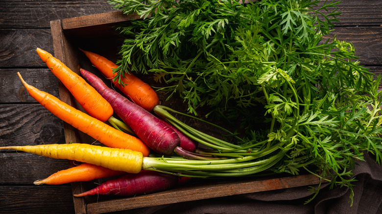 Different colored carrots in a wooden box