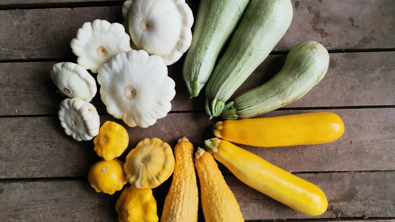 A circle of different summer squashes