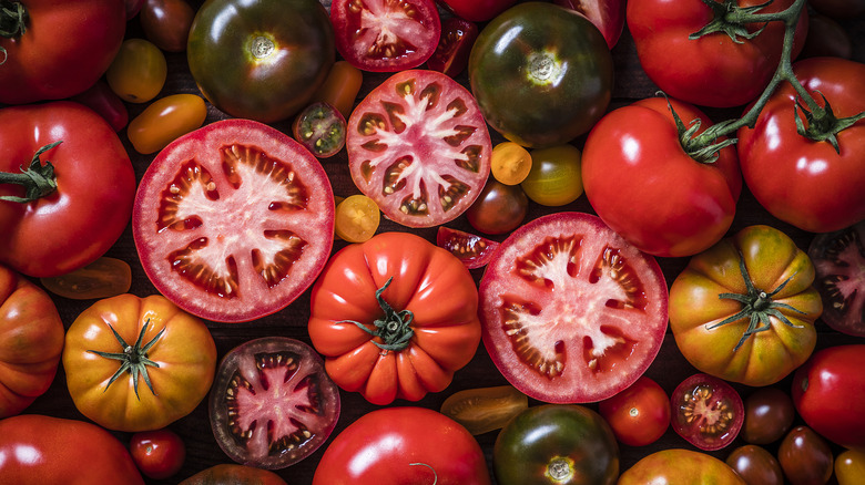 Top-down view of different tomato varieties