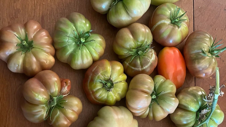 Multiple Noire de Cosebœuf tomatoes on wood surface