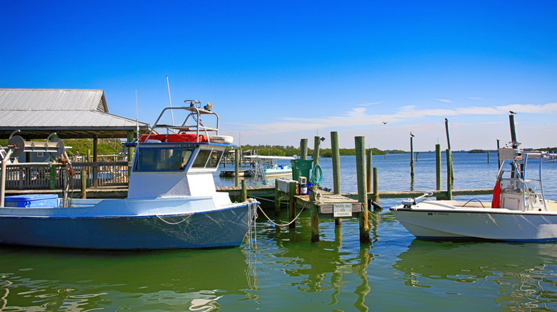 fishing boats docked in Cortez Florida