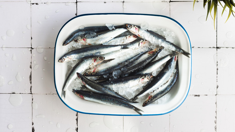 fresh anchovies in white bowl with ice