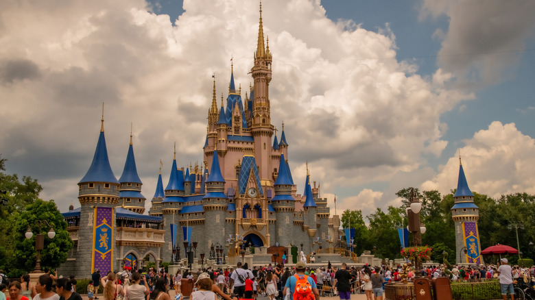 The Magic Kingdom at Disney World