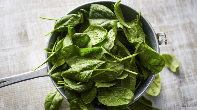 Fresh spinach with dew in a metal pan