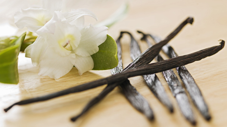 Vanilla beans with orchid flower