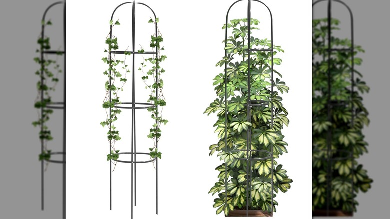 The Heyfurni metal trellis