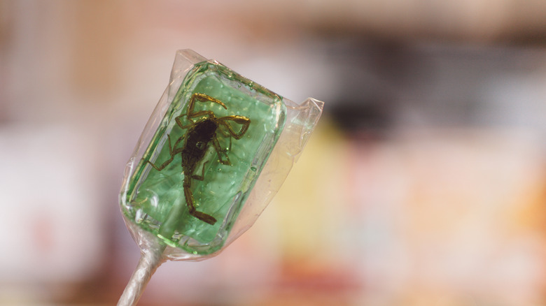 Lollipop with scorpion inside