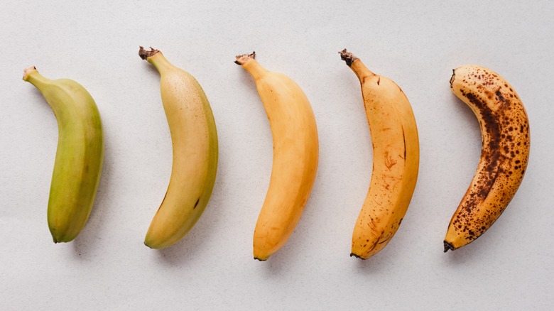 Bananas at different stages or ripening