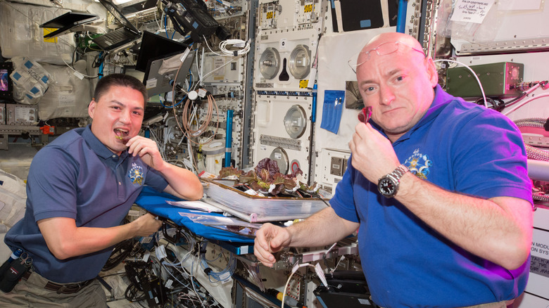Astronauts Kjell Lindgren and Scott Kelly prepare to taste lettuce grown on the International Space Station, 2015