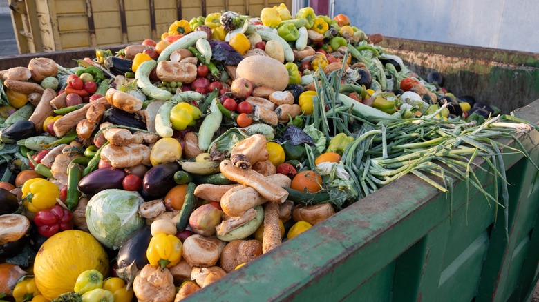 expired produce sits in a huge bin