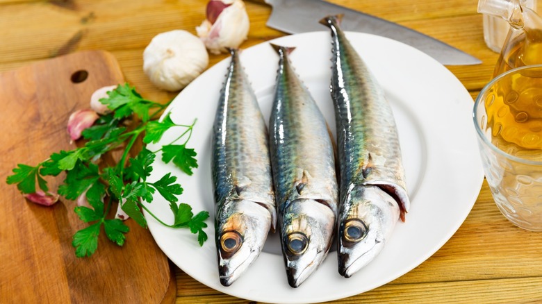 fresh atlantic mackerel on plate