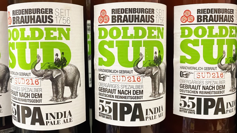 What Makes Beer Bitter 