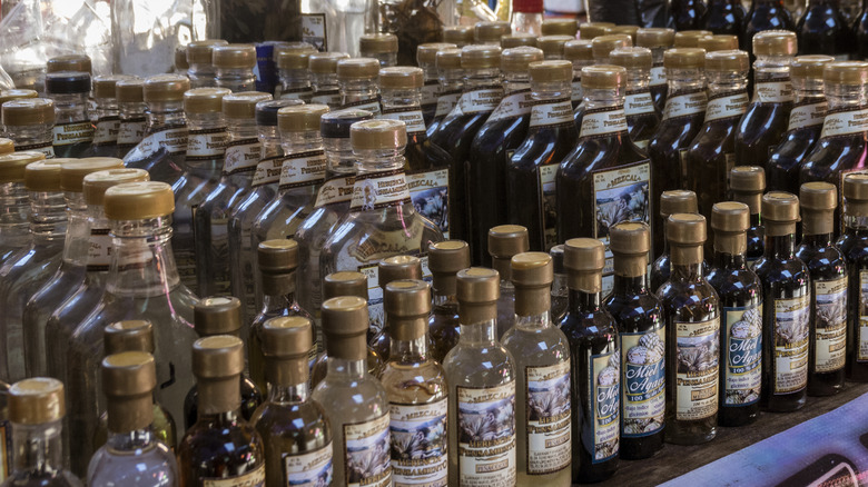 Shelves of mezcal