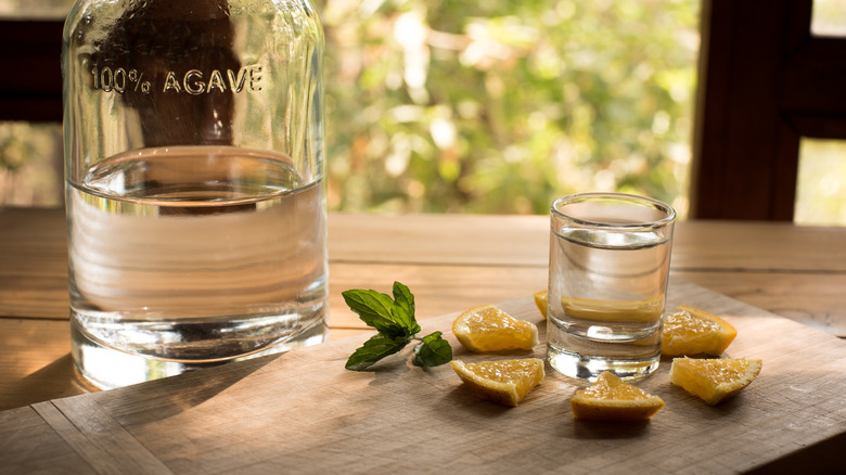 mezcal with orange slices