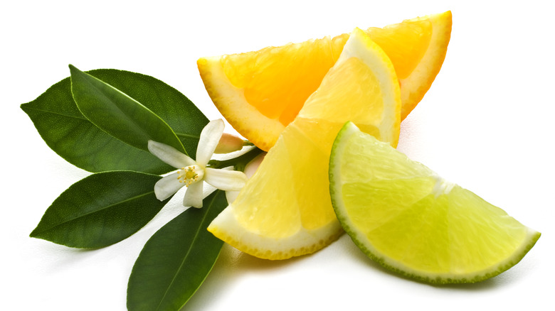 lemon and lime slice