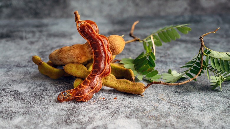 tamarind pods and a leaf