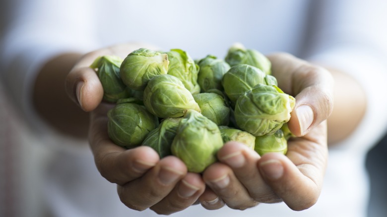 hands cradle whole brussels sprouts