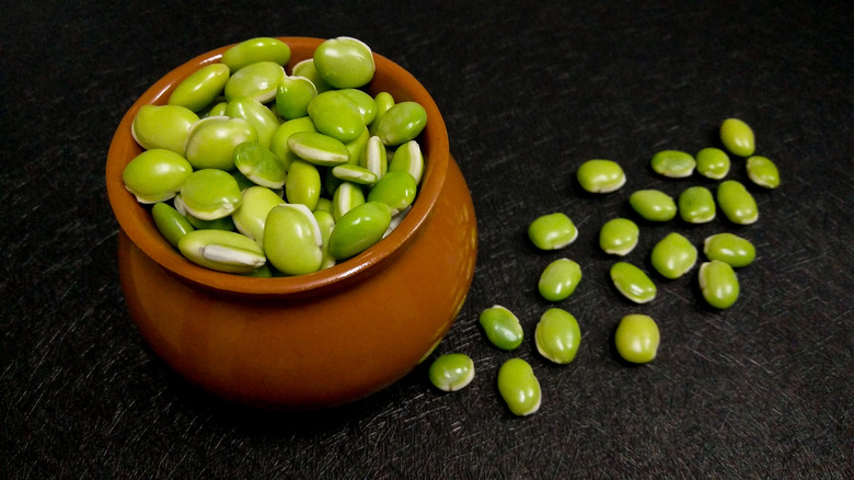 lima beans in a brown pot and on a counter