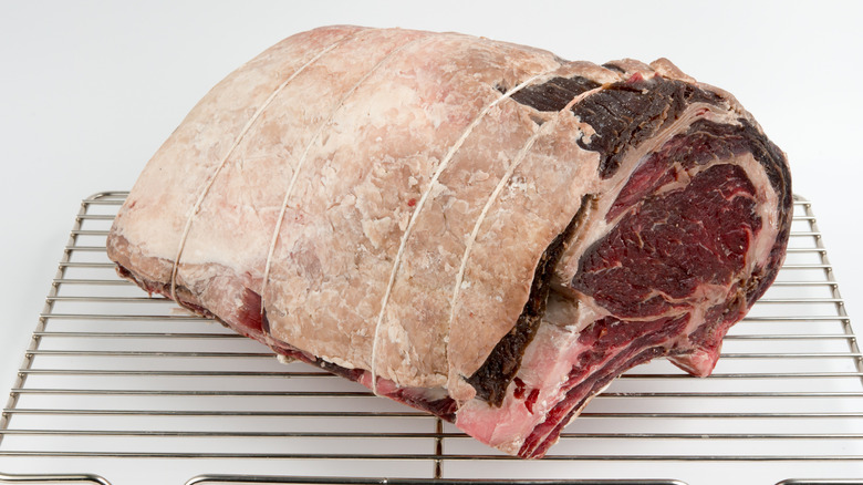 A prime rib beef roast in the process of being aged