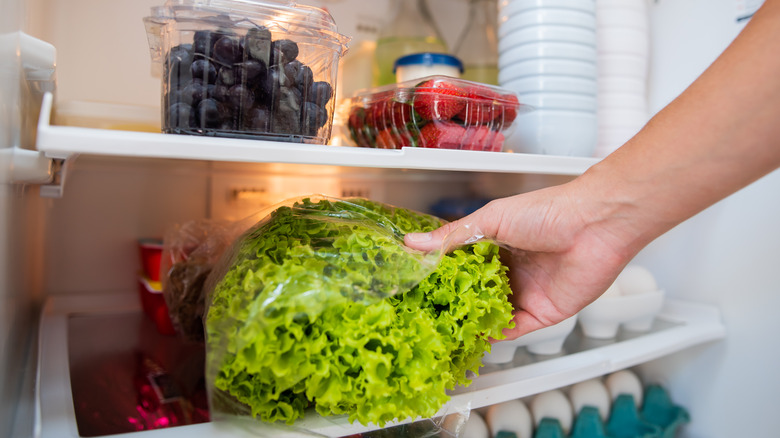 Hand placing a bag of lettuce in the fridge