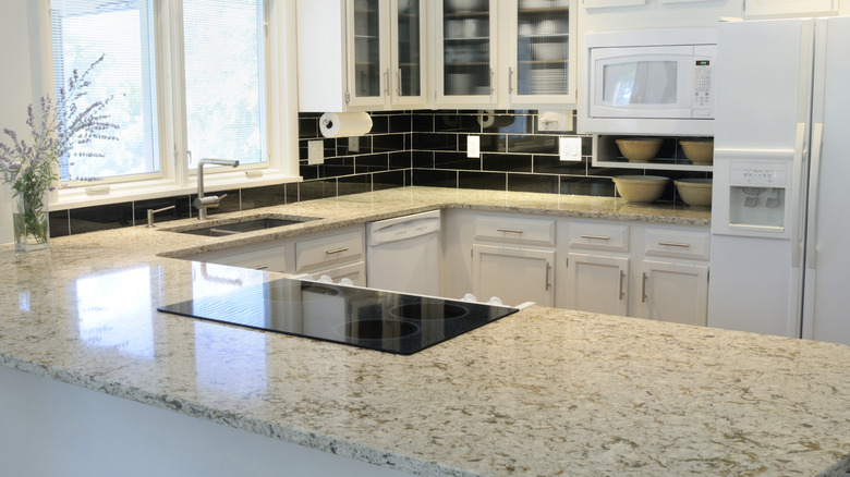 A contemporary kitchen with granite countertops