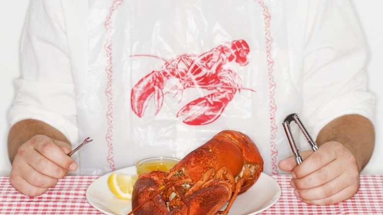 a person in a lobster bib prepares to eat a whole cooked lobster