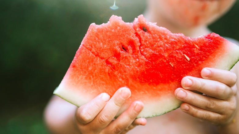 Hands holding watermelon slice closeup