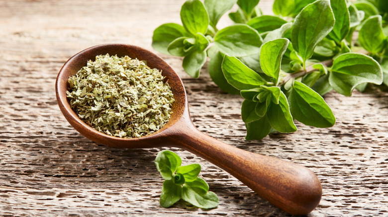 A wooden spoon full of dried oregano sits next to fresh oregano.