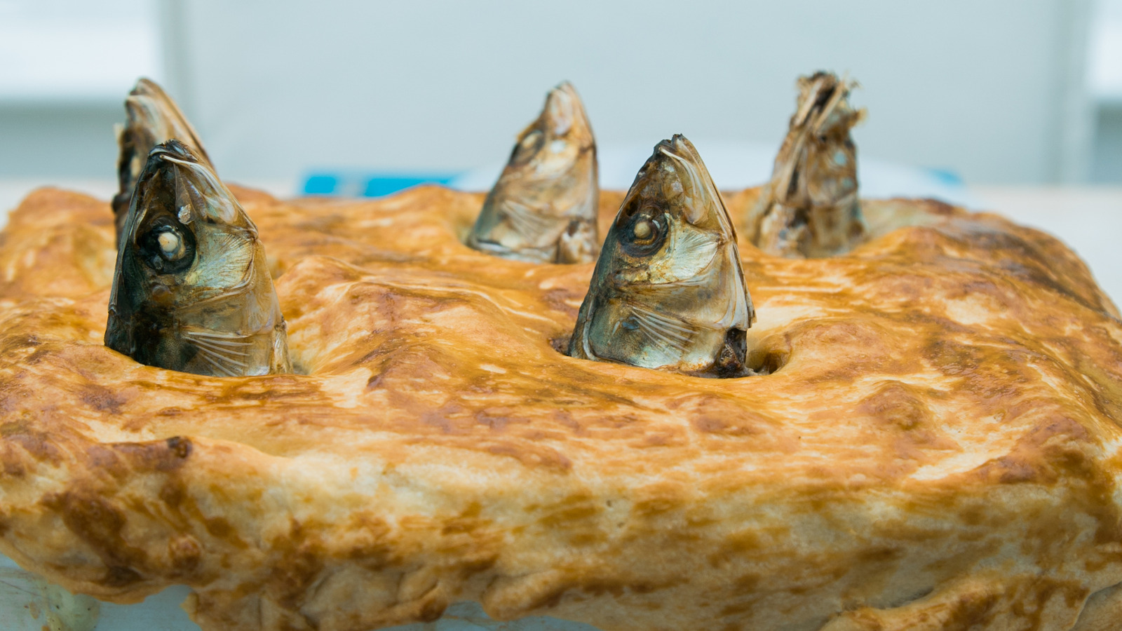 Why Fish Heads Stick Out Of Stargazy Pie Why Fish Heads Stick Out Of Stargazy Pie